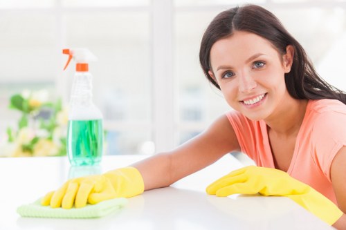 Carpet cleaning team preparing professional equipment for a service appointment