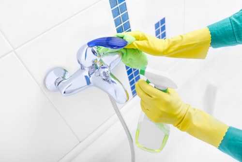 Removing pet odour from upholstery in a Yiewsley home