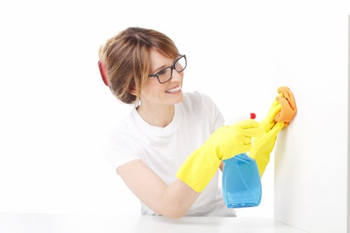 Protective PPE used during safe carpet cleaning work