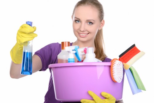Safe carpet cleaning checkout screen