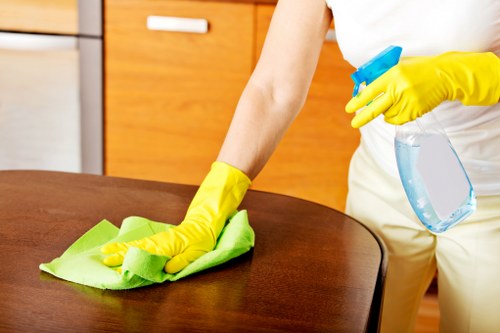 Cleaner confirming a carpet cleaning booking and service details